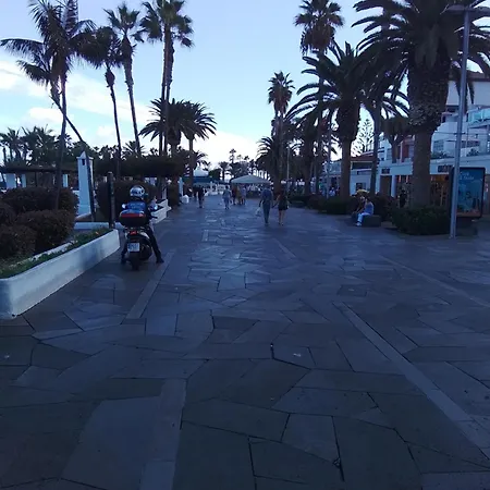 Bahamas Puerto *